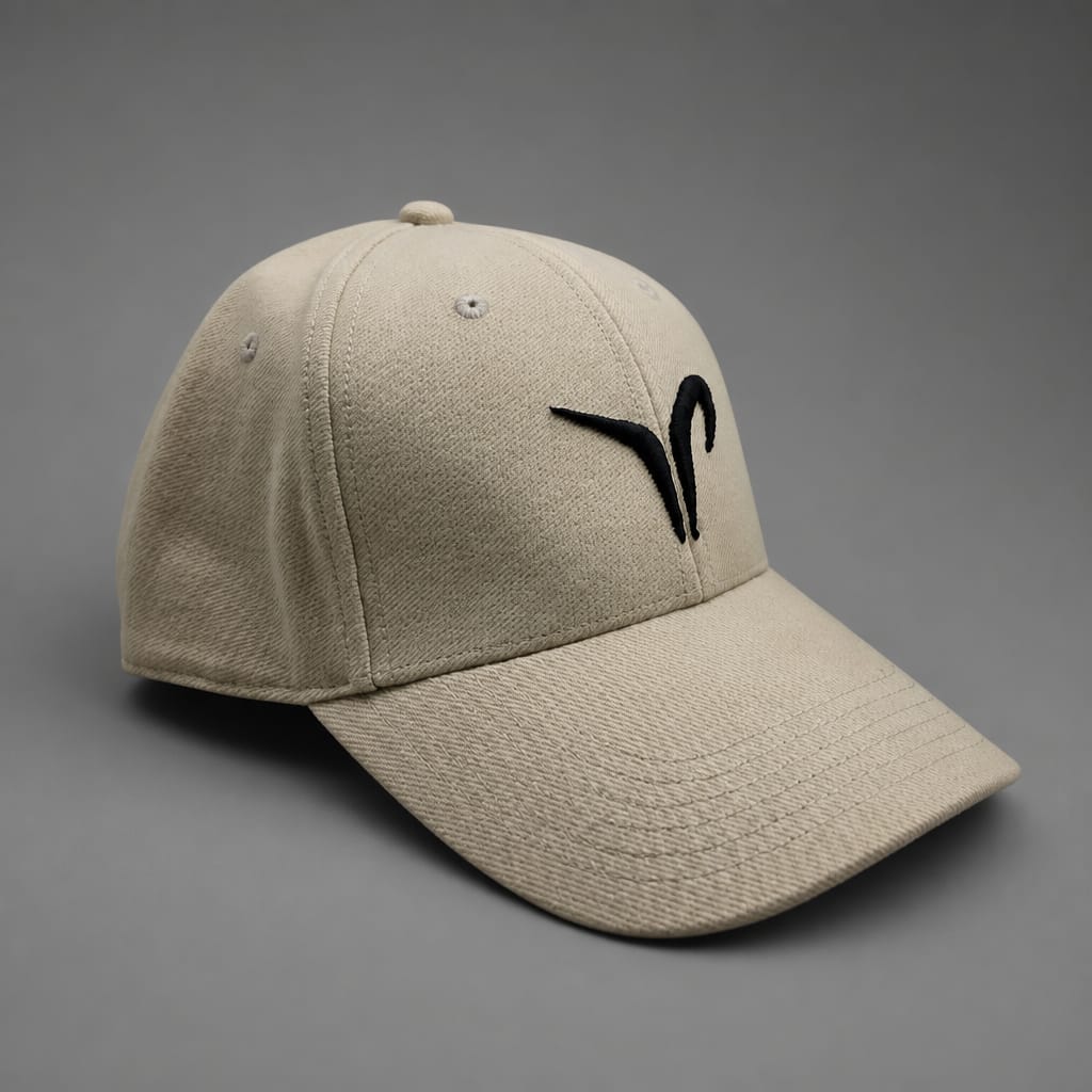 hat (10)